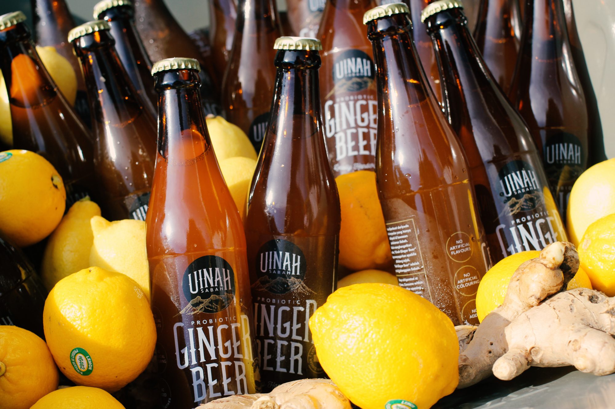 Quench Your Thirst With Sabah’s Very Own Special Ginger Beer Borneo