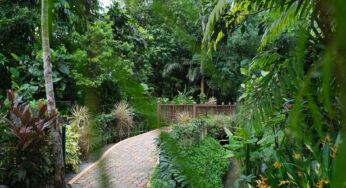 BiG Appetite Brunei: The Garden’s Veranda
